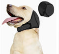 Labrador portant le cache-oreilles apaisant SilentPaws gris
