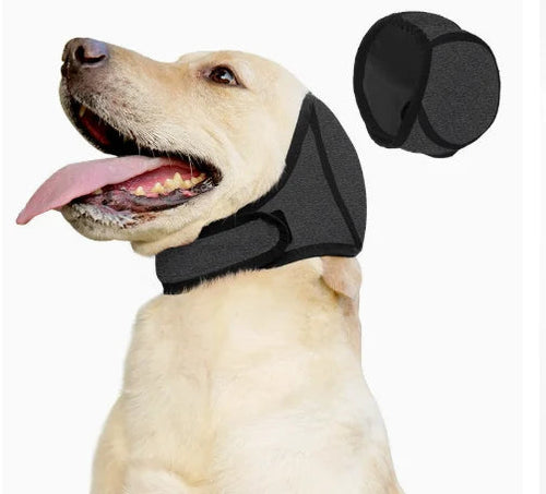 Labrador portant le cache-oreilles apaisant SilentPaws gris