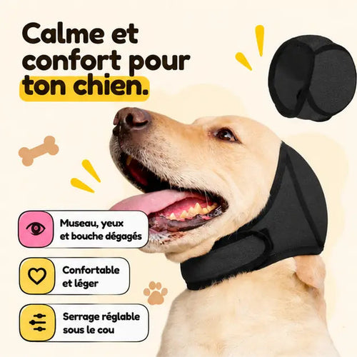 Labrador portant le cache-oreilles SilentPaws : calme et confort pour ton chien, museau, yeux et bouche dégagés, serrage réglable sous le cou (coloris noir)