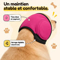 Cache-oreilles vu de dos sur un golden retriever : maintien stable et confortable, tissu doux et respirant, serrage réglable sous le cou (coloris rose)