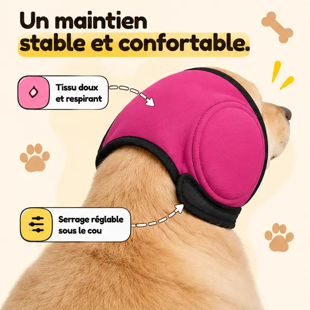 Cache-oreilles vu de dos sur un golden retriever : maintien stable et confortable, tissu doux et respirant, serrage réglable sous le cou (coloris rose)
